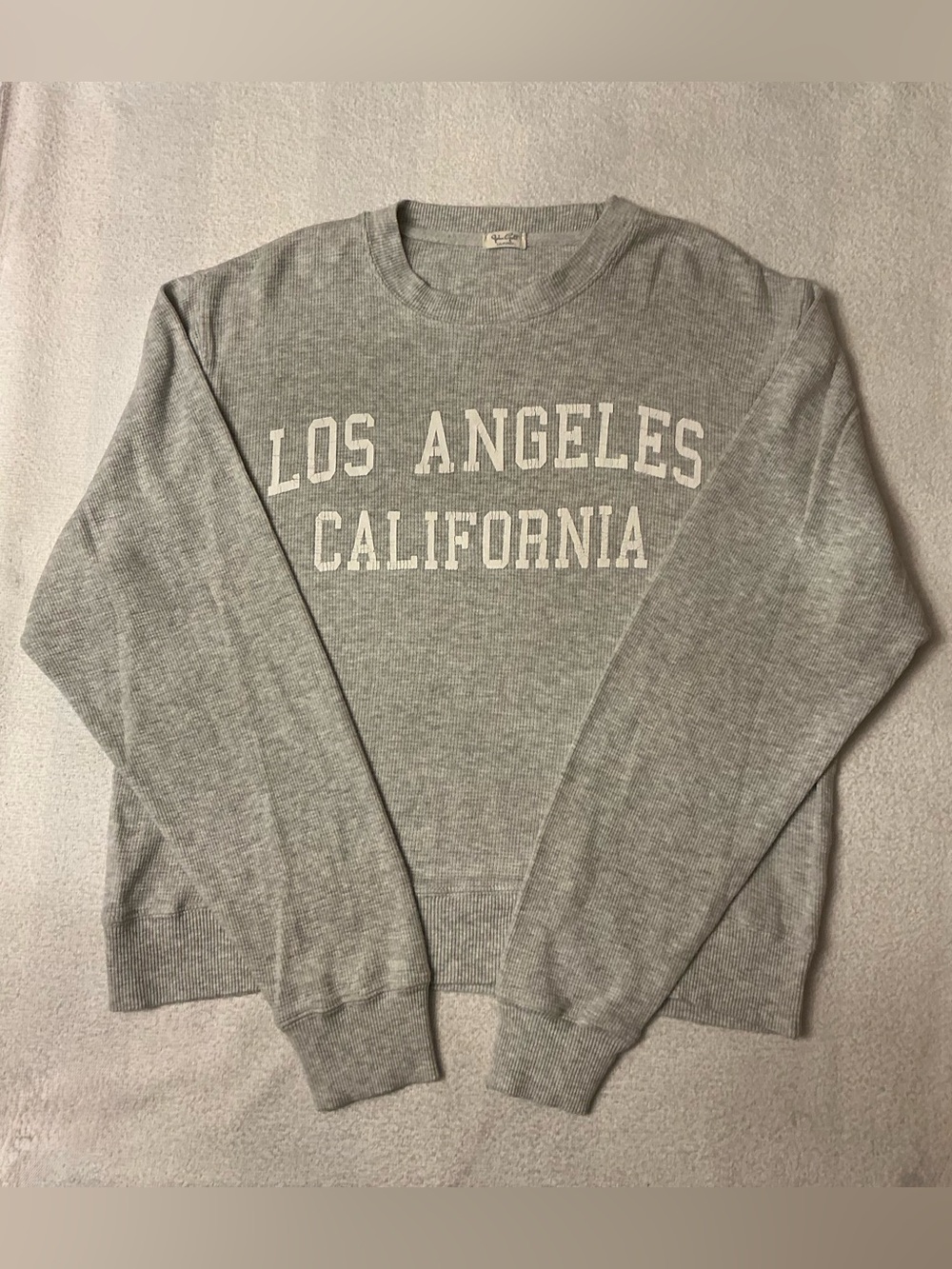 Brandy Melville John Galt Grey Los Angeles California Waffle Knit Sweatshirt